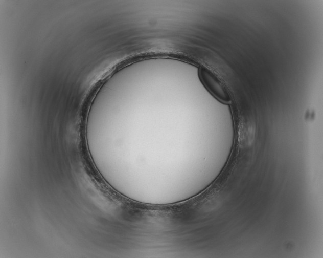 X0000111650436200908071412