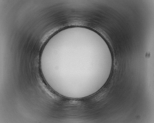 X0000111650437200908071412
