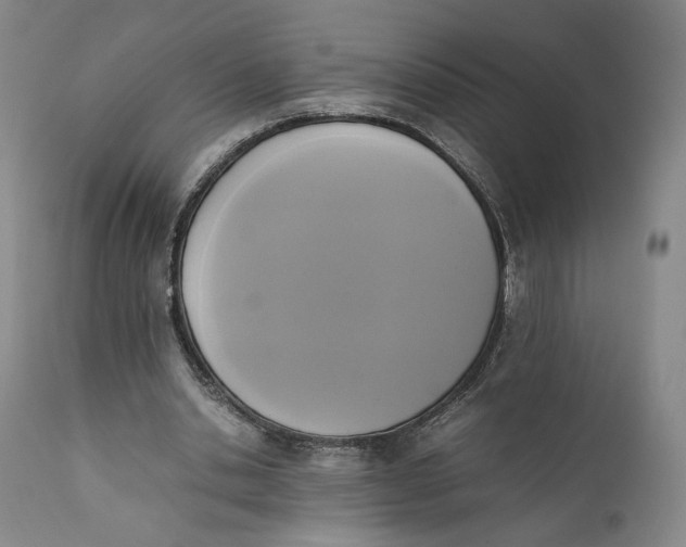 X0000111650438200908071412