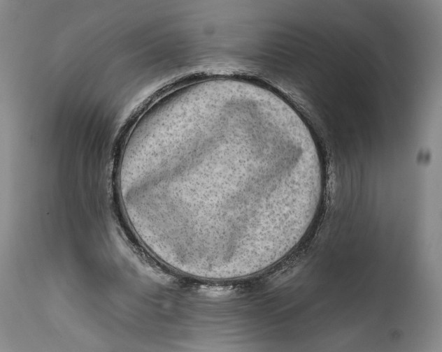 X0000111650440200908071412
