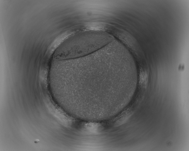 X0000111650444200908071412