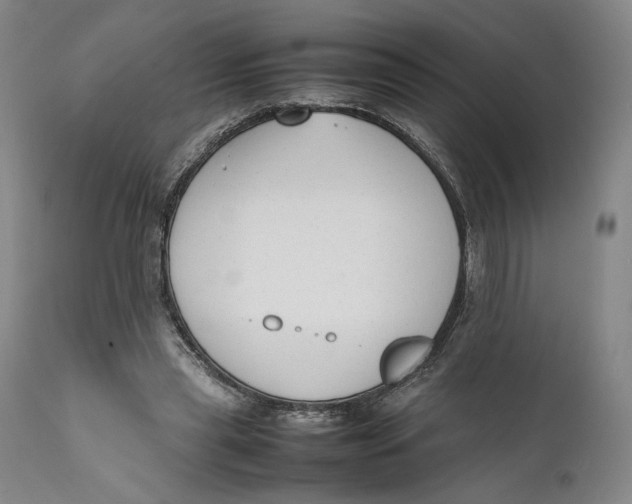 X0000111650445200908071412