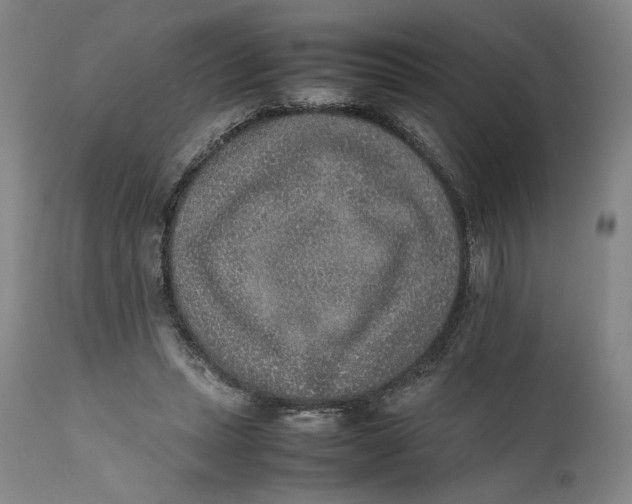 X0000111650447200908071412