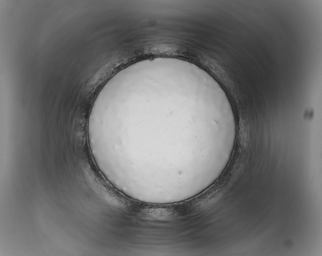 X0000111650449200908071412