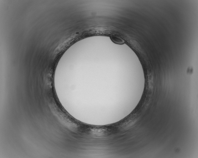 X0000111650450200908071412
