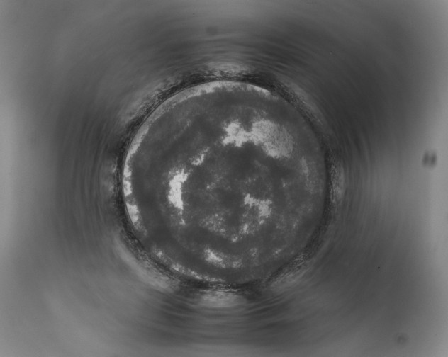 X0000111650451200908071412