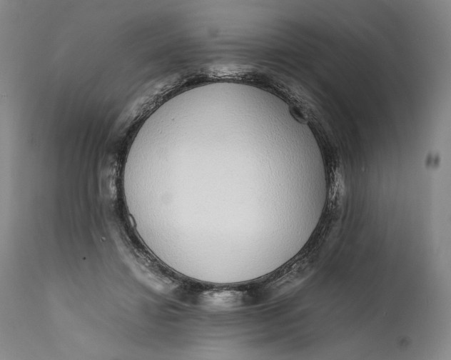 X0000111650452200908071412
