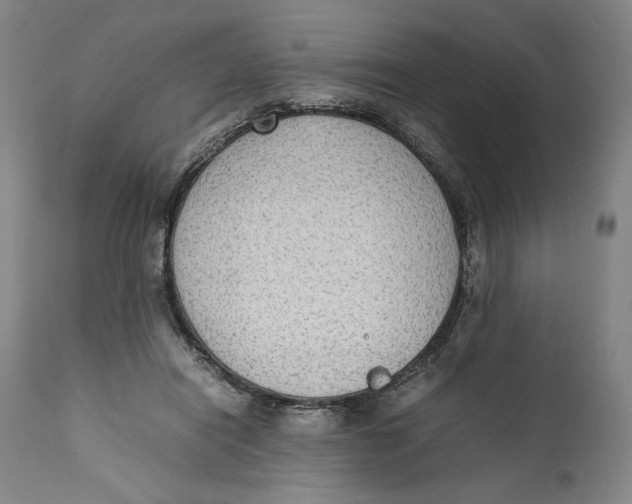 X0000111650454200908071413