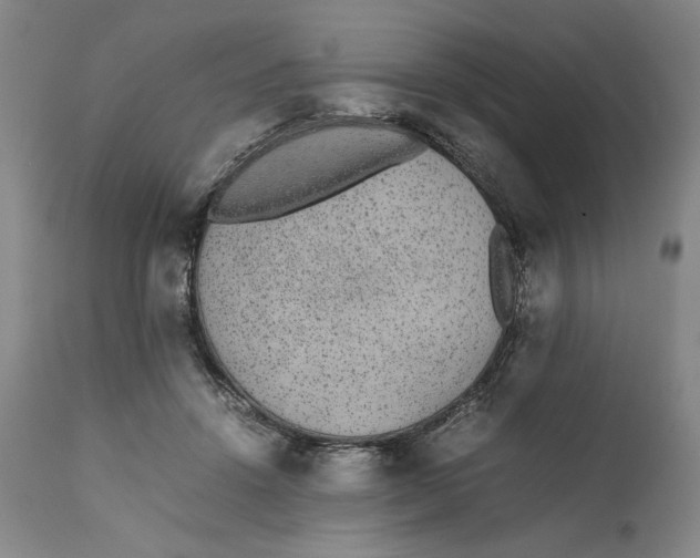 X0000111650456200908071413