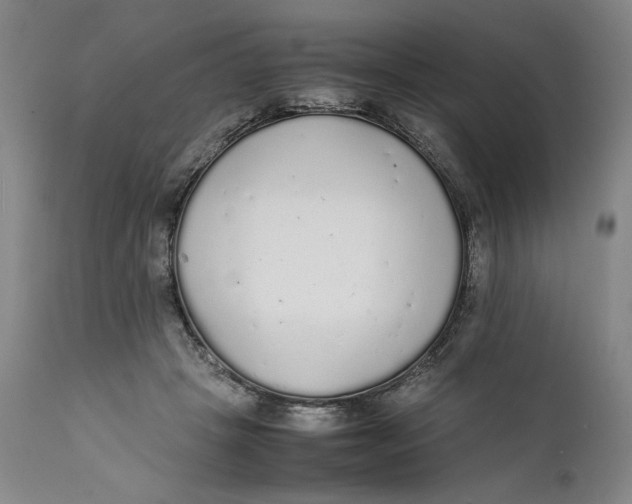 X0000111650457200908071413
