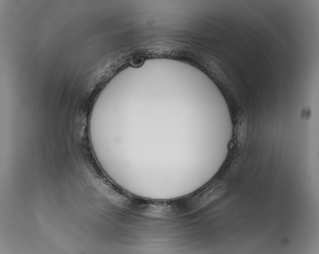 X0000111650458200908071413
