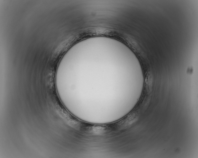 X0000111650462200908071413