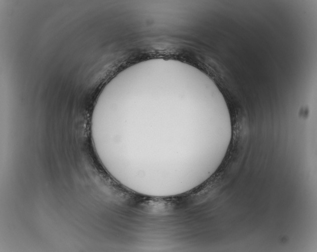 X0000111650464200908071413