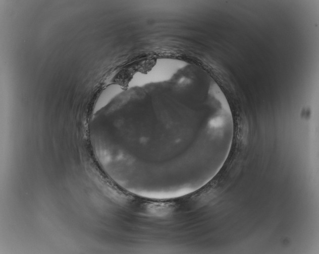 X0000111650465200908071413