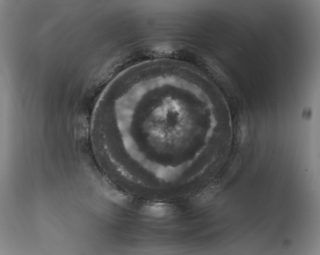 X0000111650467200908071413