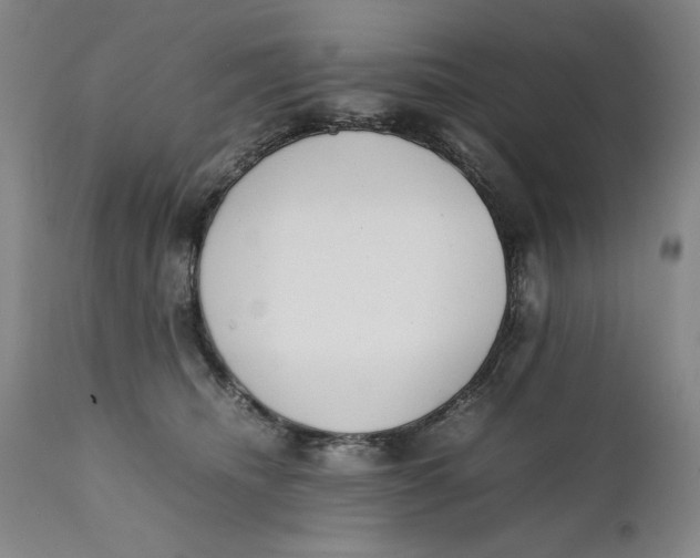 X0000111650468200908071413