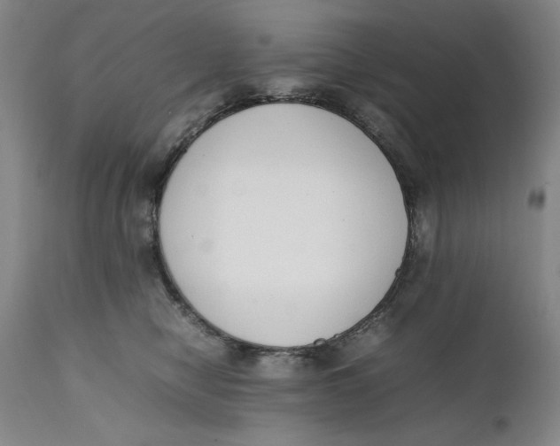 X0000111650470200908071413