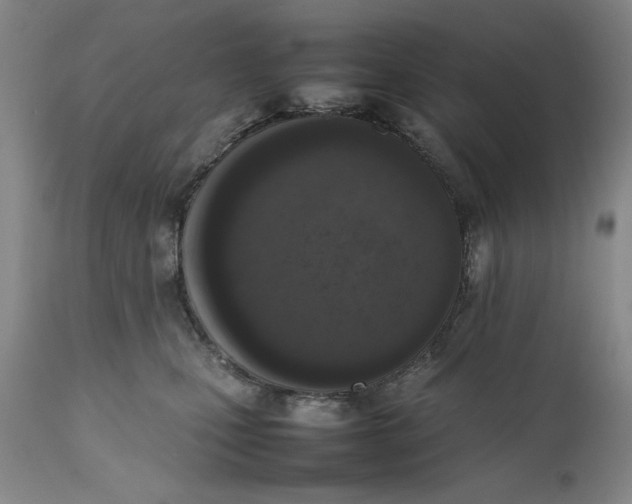 X0000111650471200908071413