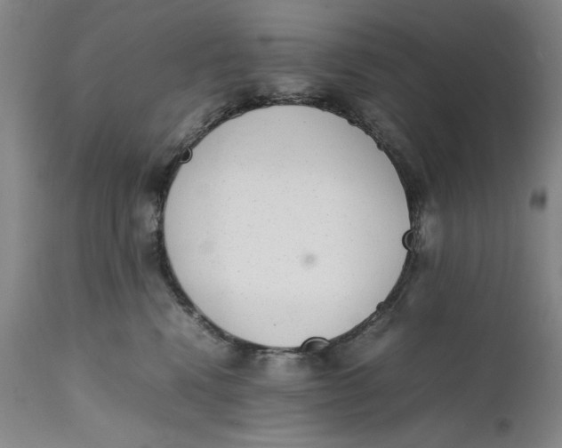 X0000111650472200908071413