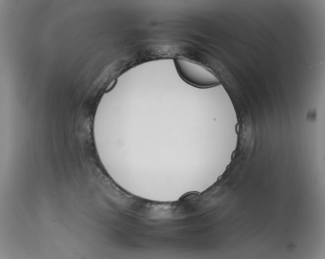 X0000111650473200908071413