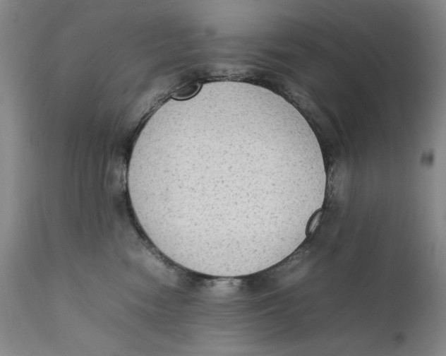 X0000111650474200908071413