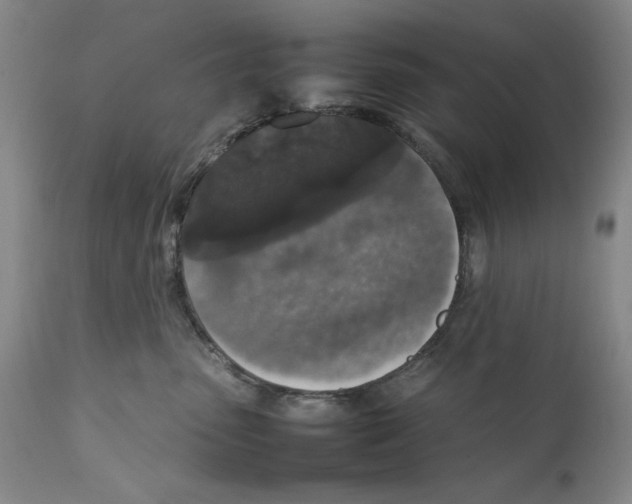 X0000111650475200908071413