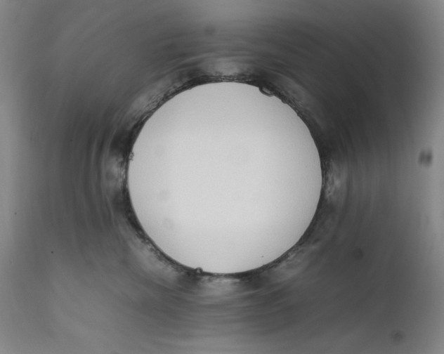 X0000111650476200908071413