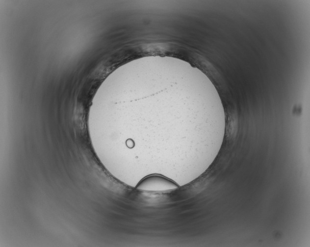 X0000111650477200908071413