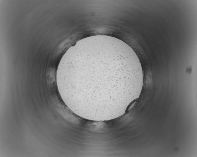 X0000111650478200908071413