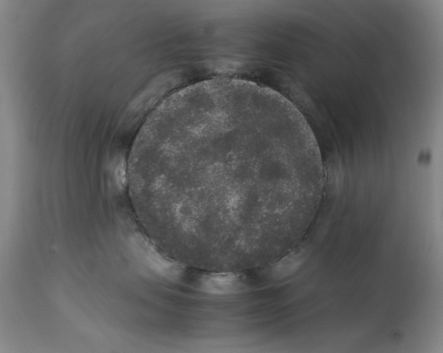 X0000111650479200908071413