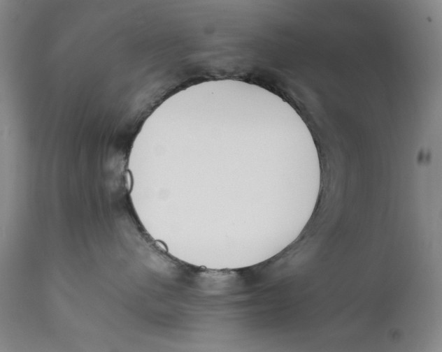 X0000111650480200908071413