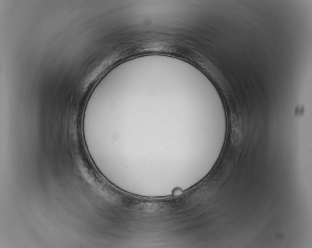X0000111650482200908071412