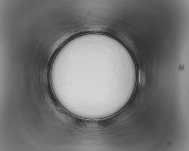 X0000111650483200908071412
