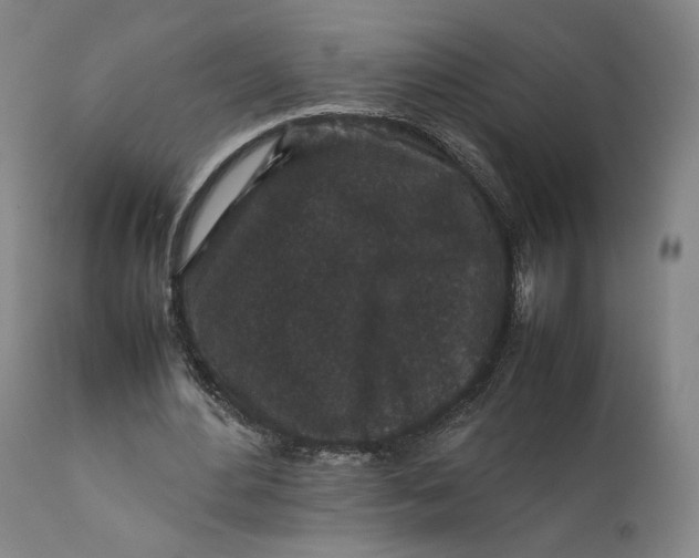 X0000111650484200908071412