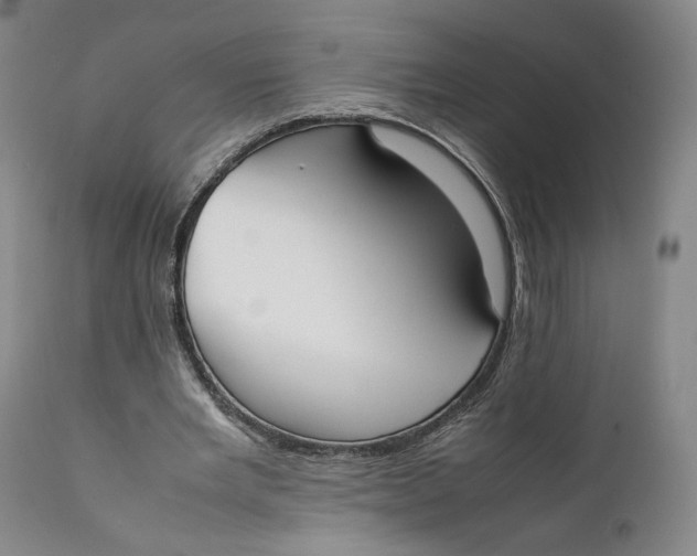 X0000111650485200908071412