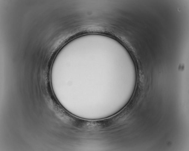 X0000111650487200908071412