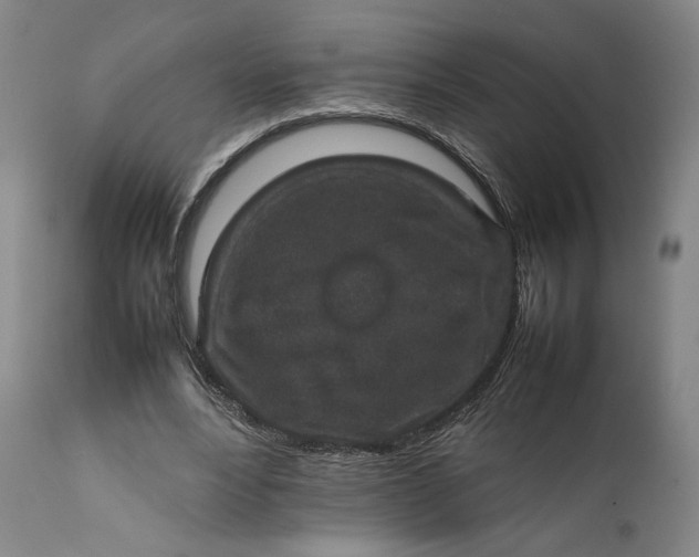 X0000111650488200908071412