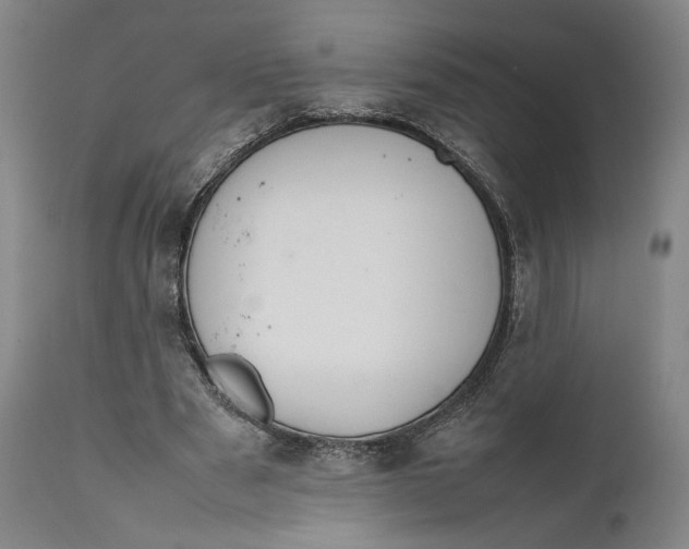X0000111650489200908071412