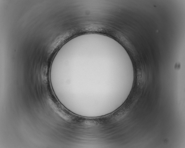 X0000111650490200908071412