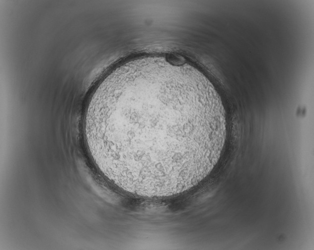 X0000111650491200908071412