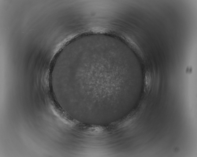 X0000111650492200908071412