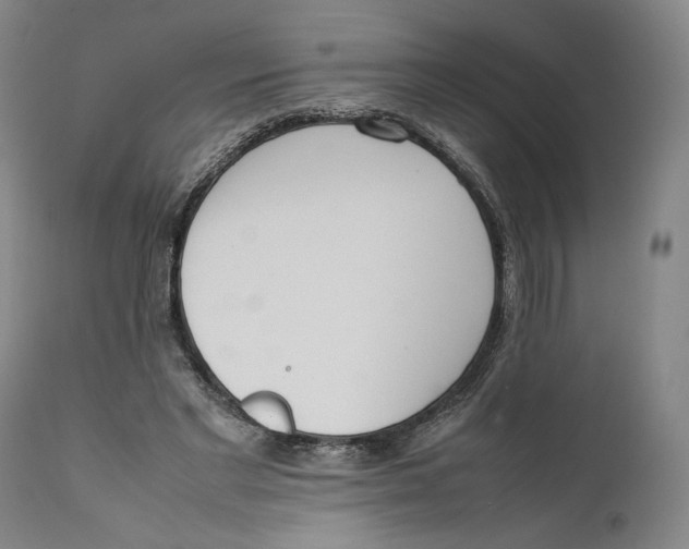 X0000111650493200908071412