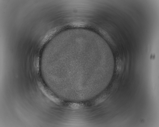 X0000111650494200908071412