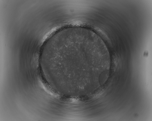 X0000111650496200908071412