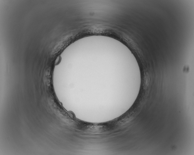 X0000111650497200908071412