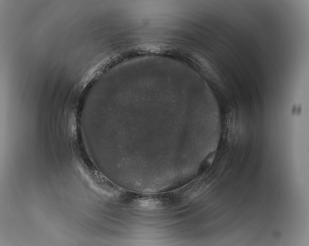 X0000111650500200908071412