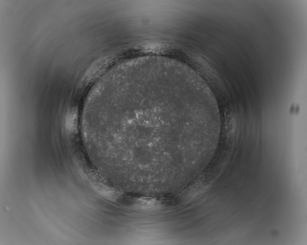 X0000111650502200908071412