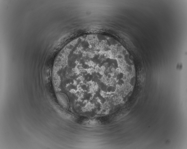 X0000111650503200908071412