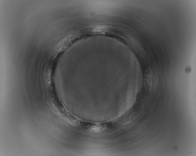 X0000111650504200908071412