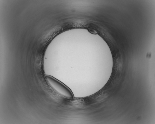 X0000111650505200908071412